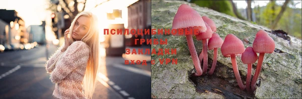 первитин Ельня