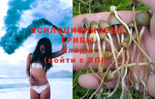 первитин Ельня