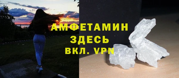 гидра Елабуга