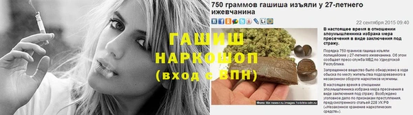 скорость Елизово
