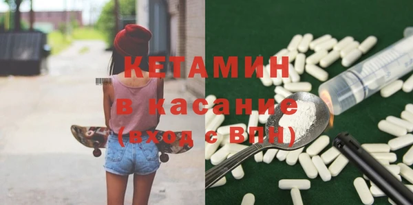 гидра Елабуга