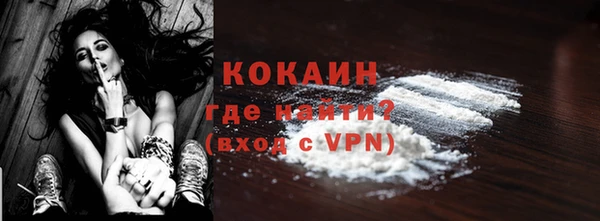 гидра Елабуга