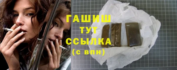 гидра Елабуга