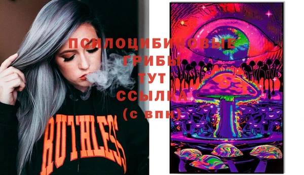 гидра Елабуга