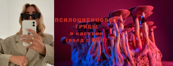 гидра Елабуга
