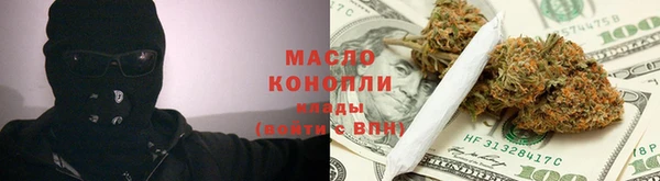 гидра Елабуга