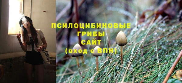 скорость Елизово