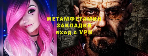 гидра Елабуга