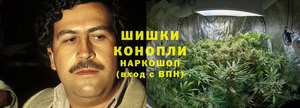 первитин Ельня