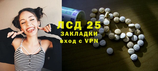 гидра Елабуга