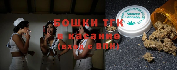 гидра Елабуга