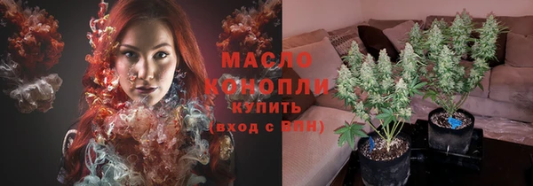 первитин Ельня