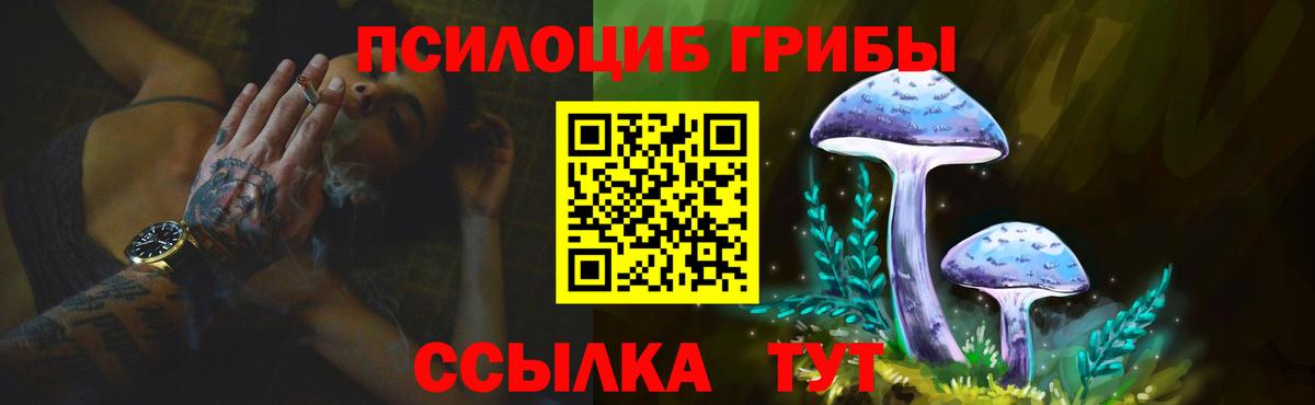 Знаменск  Галлюциногенные грибы Psilocybine cubensis  Псилоцибиновые грибы ЛСД  Вход с VPN 